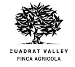 logo-cuadrat-valley